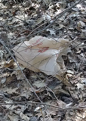 plastic bag littered on Maine roadside