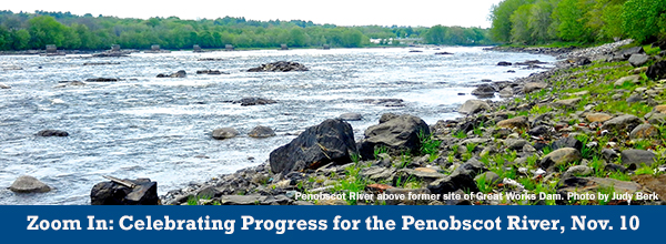 Zoom In: Celebrating Progress for the Penobscot River